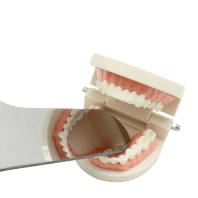 Double-Sided Intraoral Photographic Mirrors - Image 3