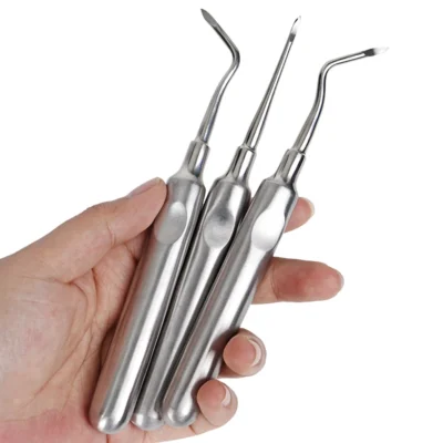 3Pcs SS Dental Extraction & Root Elevator Set - Image 2