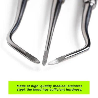 3Pcs SS Dental Extraction & Root Elevator Set - Image 6